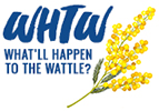 What’ll happen to the wattle?